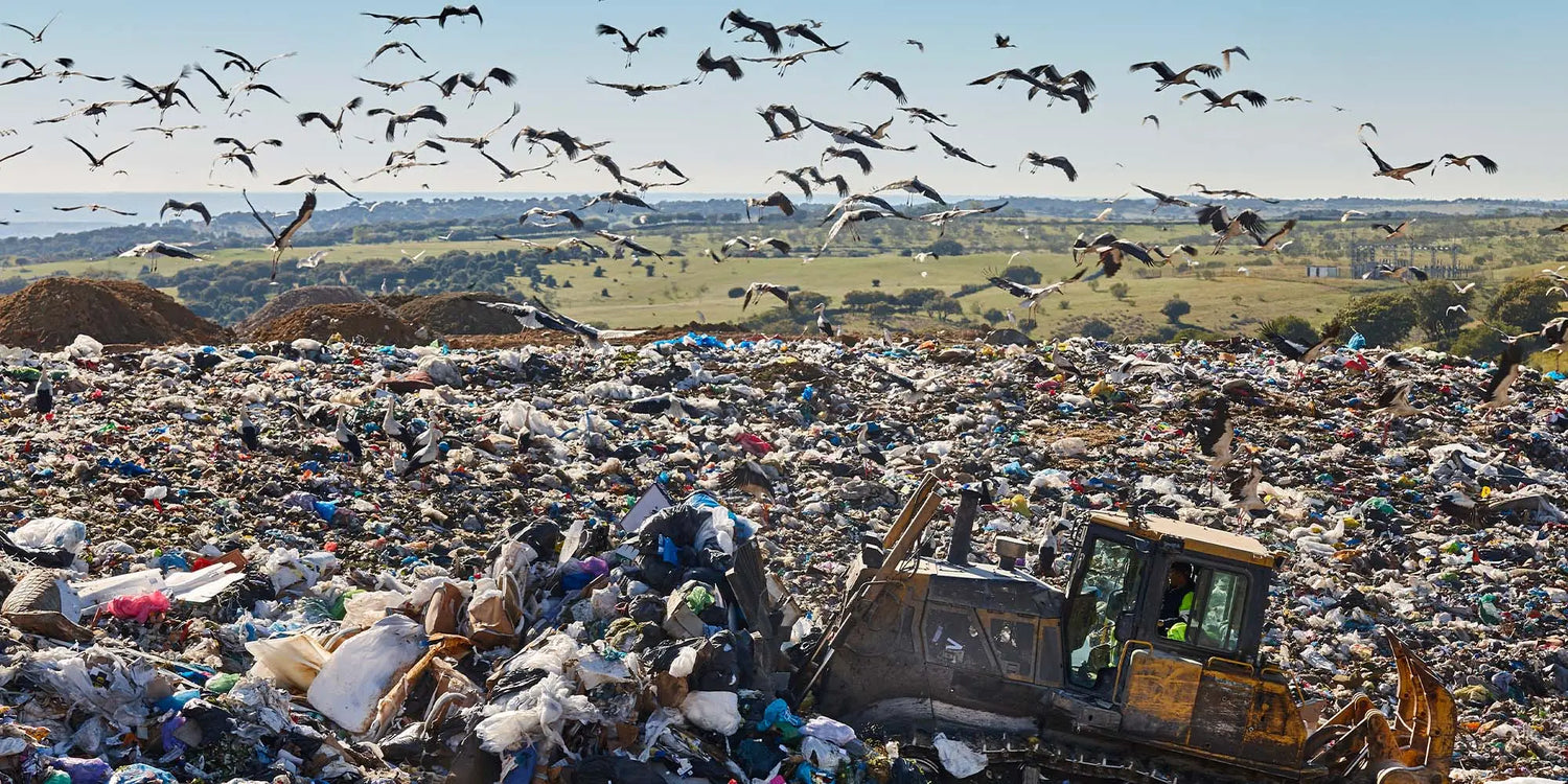 Food Waste & Climate Change: What You Need to Know