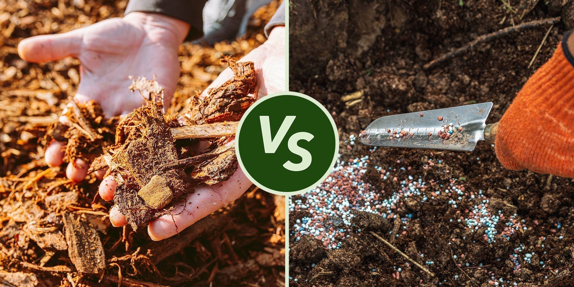 Mulch vs Fertilizer: Which One Does Your Garden Need?