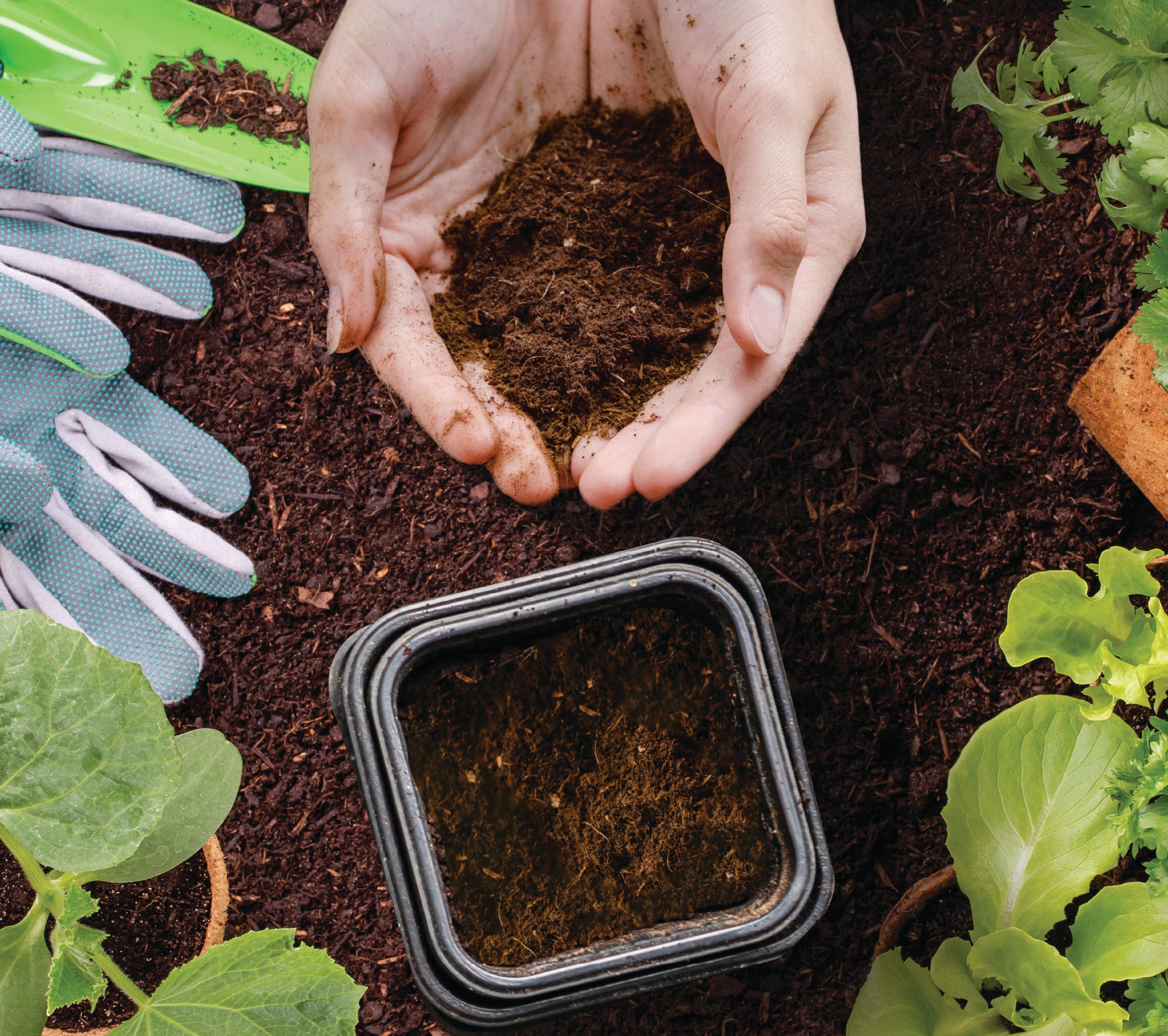 FoodCycler Eco 3 bucket full of food scraps