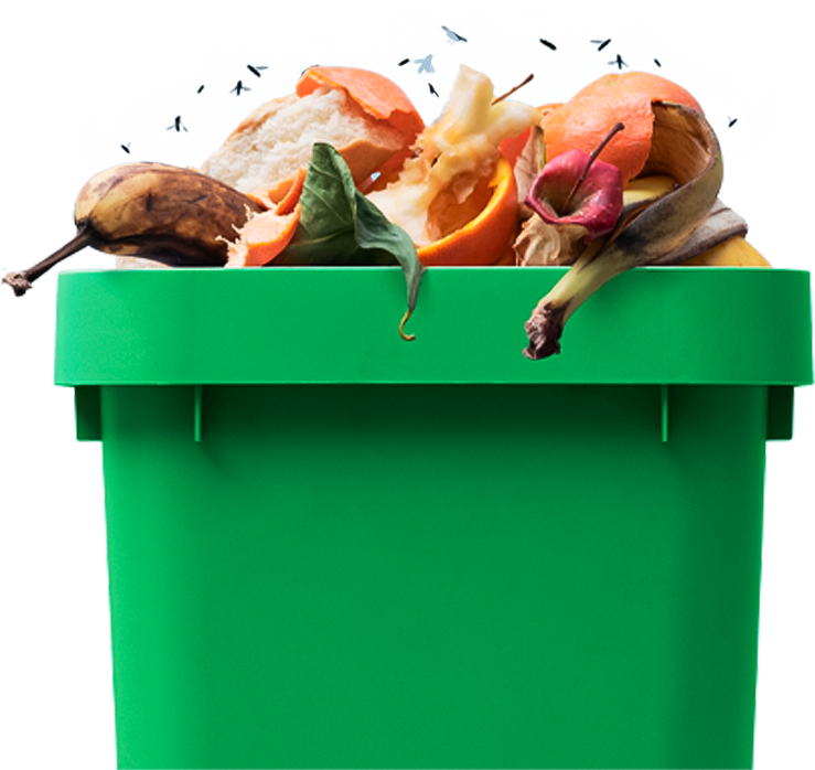 Green bin full of food scraps with flies flying around it