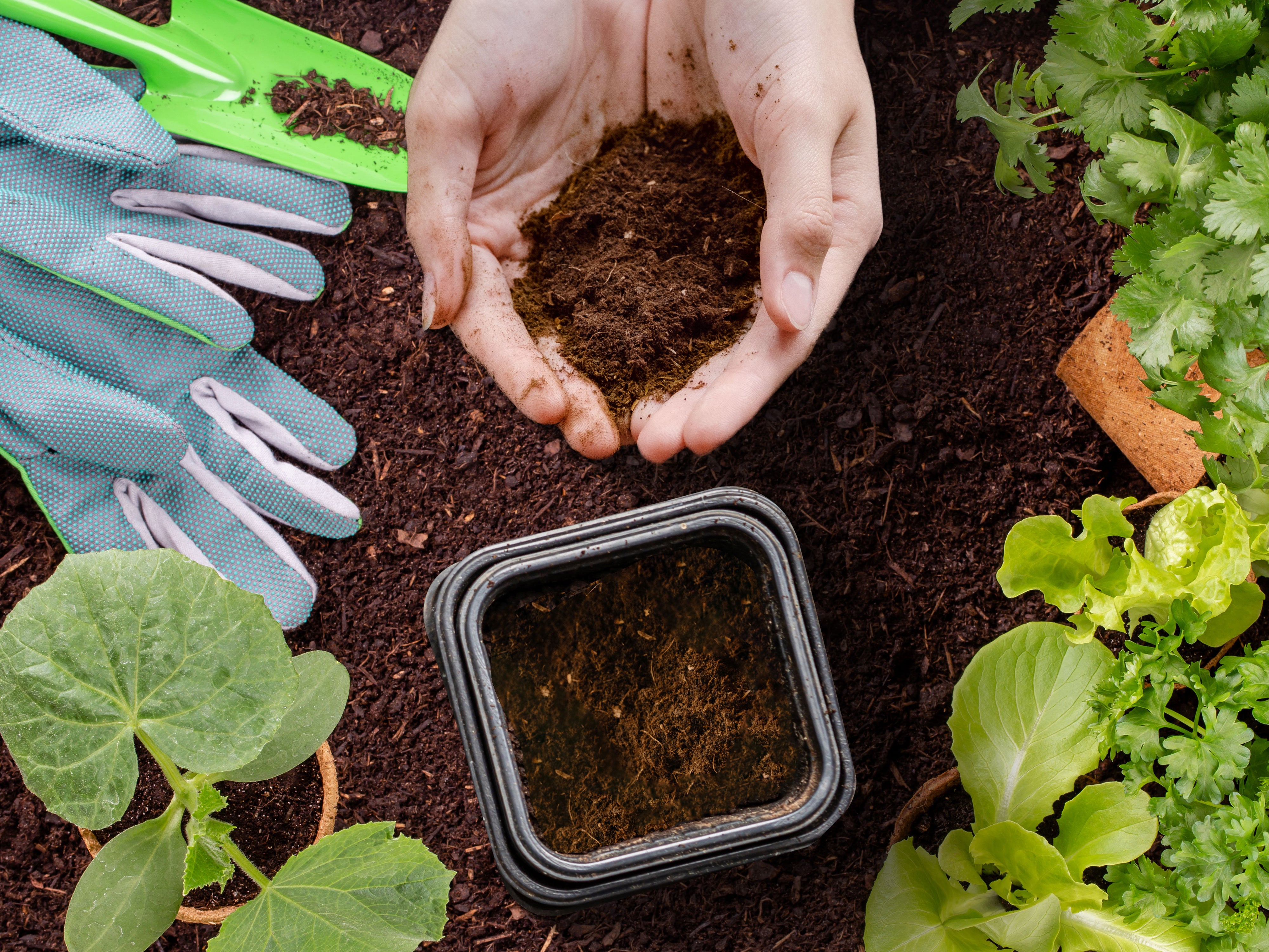 Mom scraping food scraps into the FoodCycler Eco 3 portable bucket