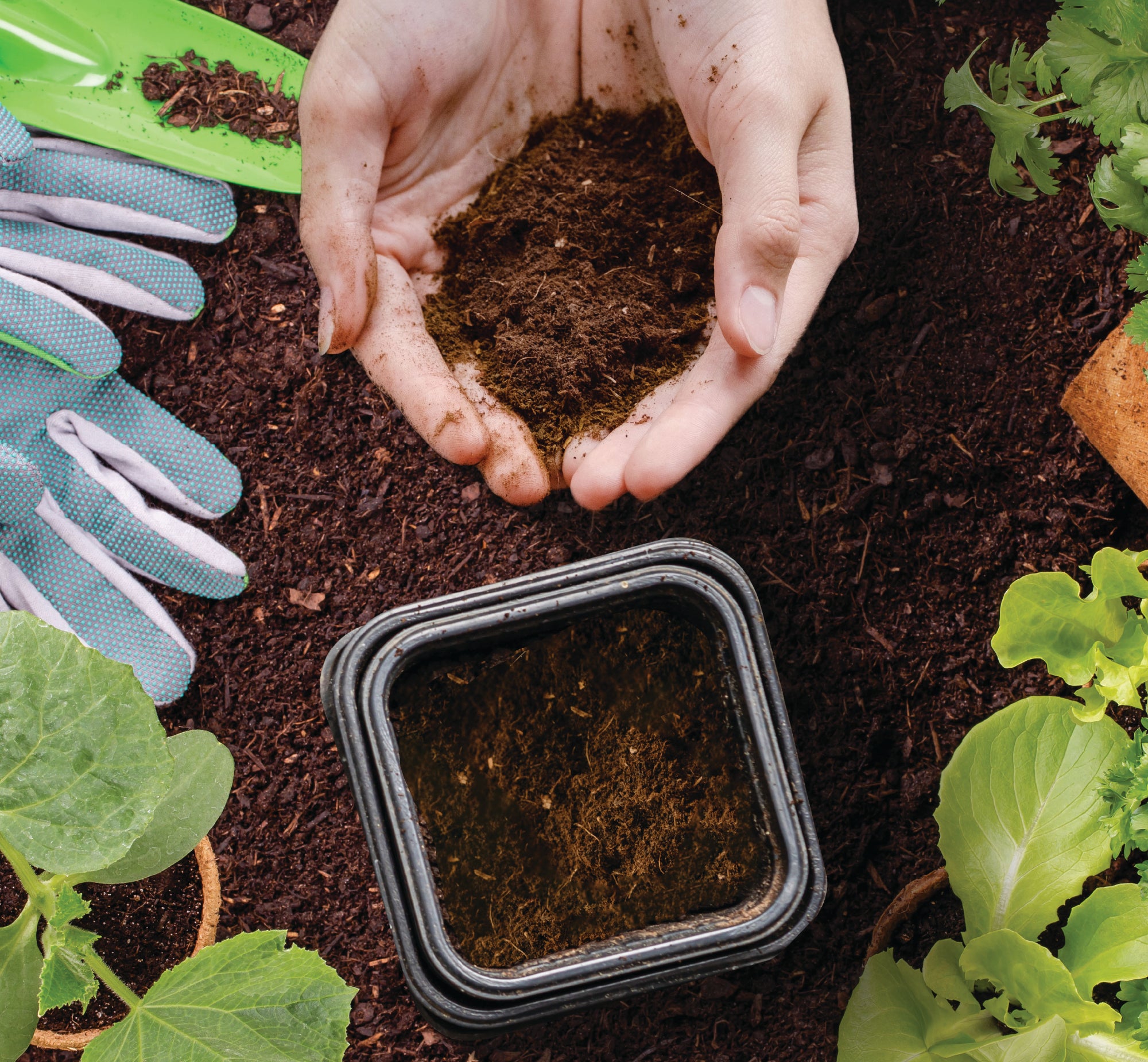 FoodCycler Eco 3 bucket full of food scraps