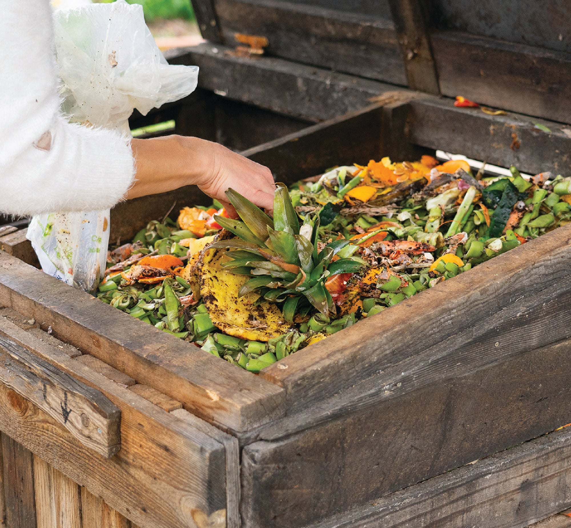 FoodCycler Eco 3 bucket full of food scraps