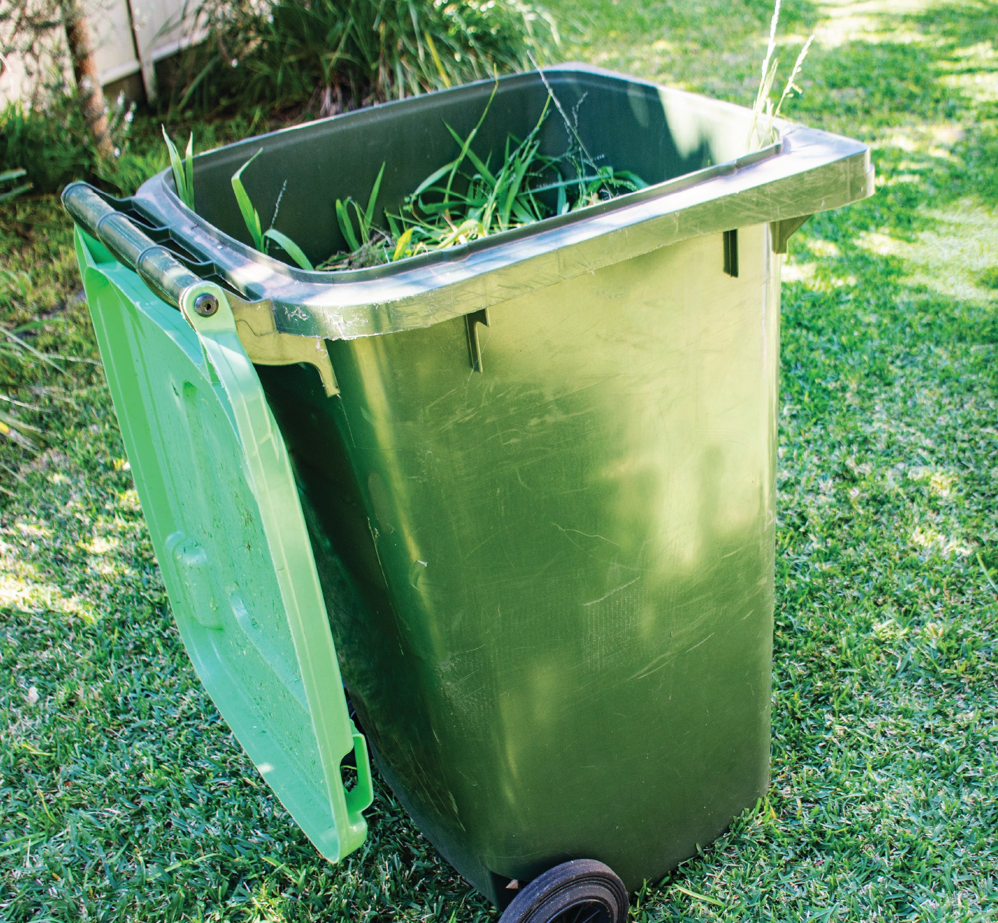 FoodCycler Eco 3 bucket full of food scraps