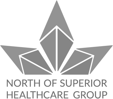 Logo of North of Superior Healthcare Group with geometric logo icon