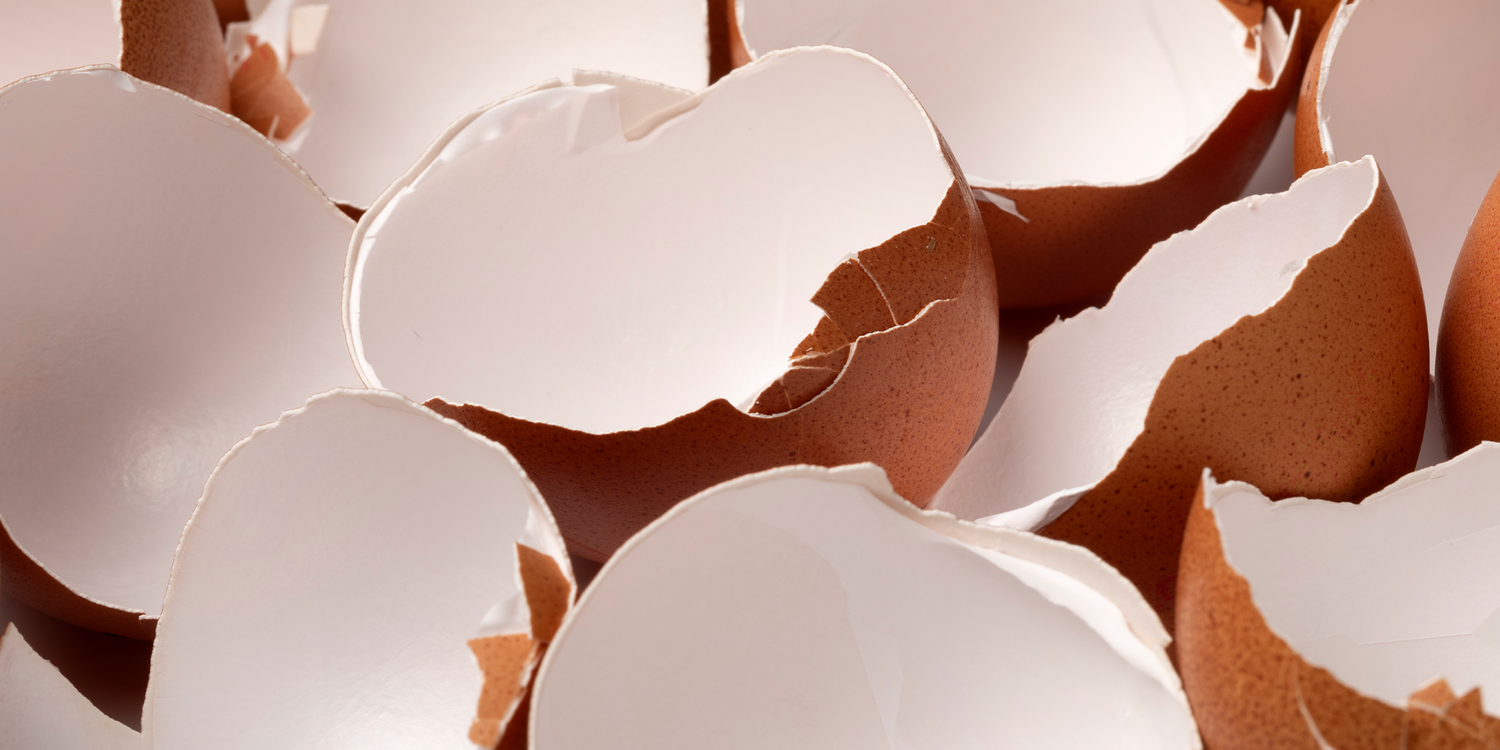 Close-up of several broken and empty brown eggshells gathered together on a flat surface.
