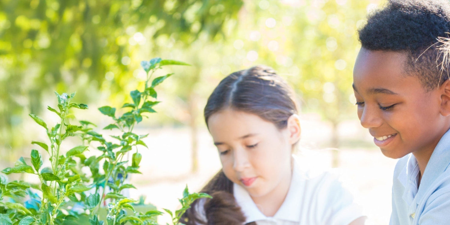 A bright, sunlit close-up of two young students in an outdoor garden. A young girl with dark hair and a young boy with a short fade haircut are smiling and looking down at a healthy green plant growing in a planter box.