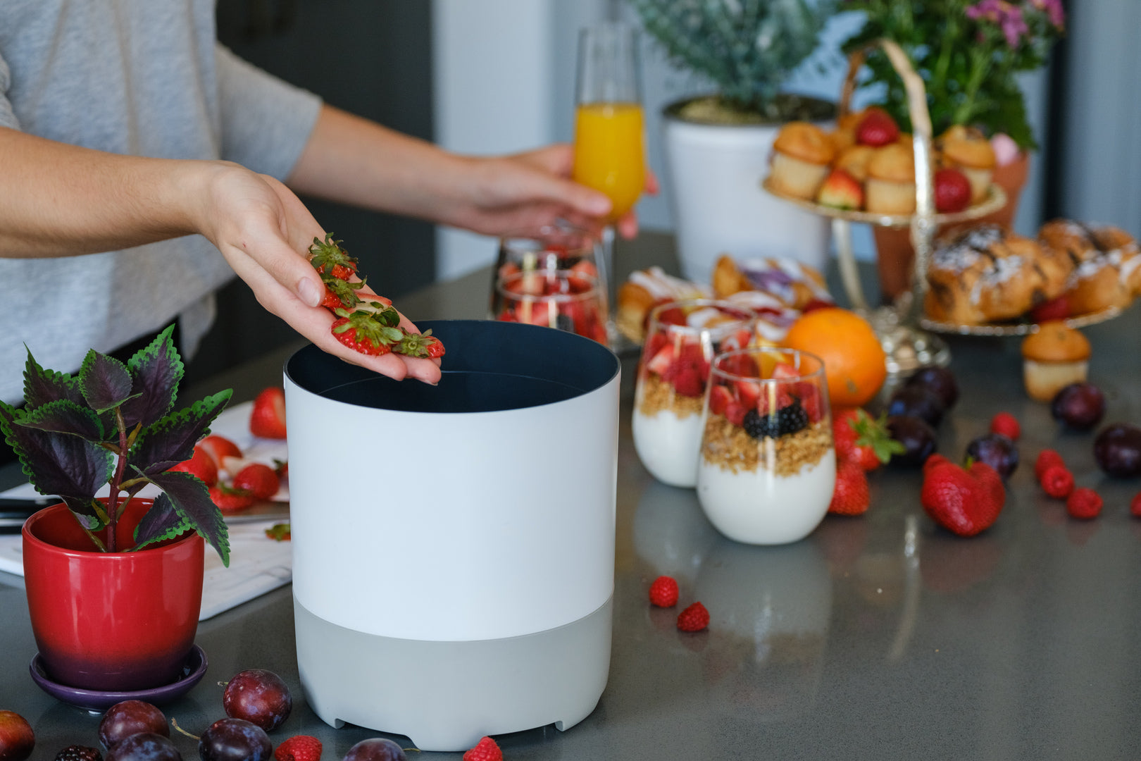 Person putting strawberry scraps into their White FoodCycler Eco 3 bucket after prepping a brunch