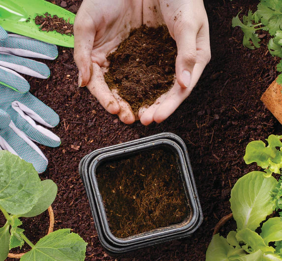 Feed the earth — Your result is nutrient-rich Foodilizer®, perfect for plants.
