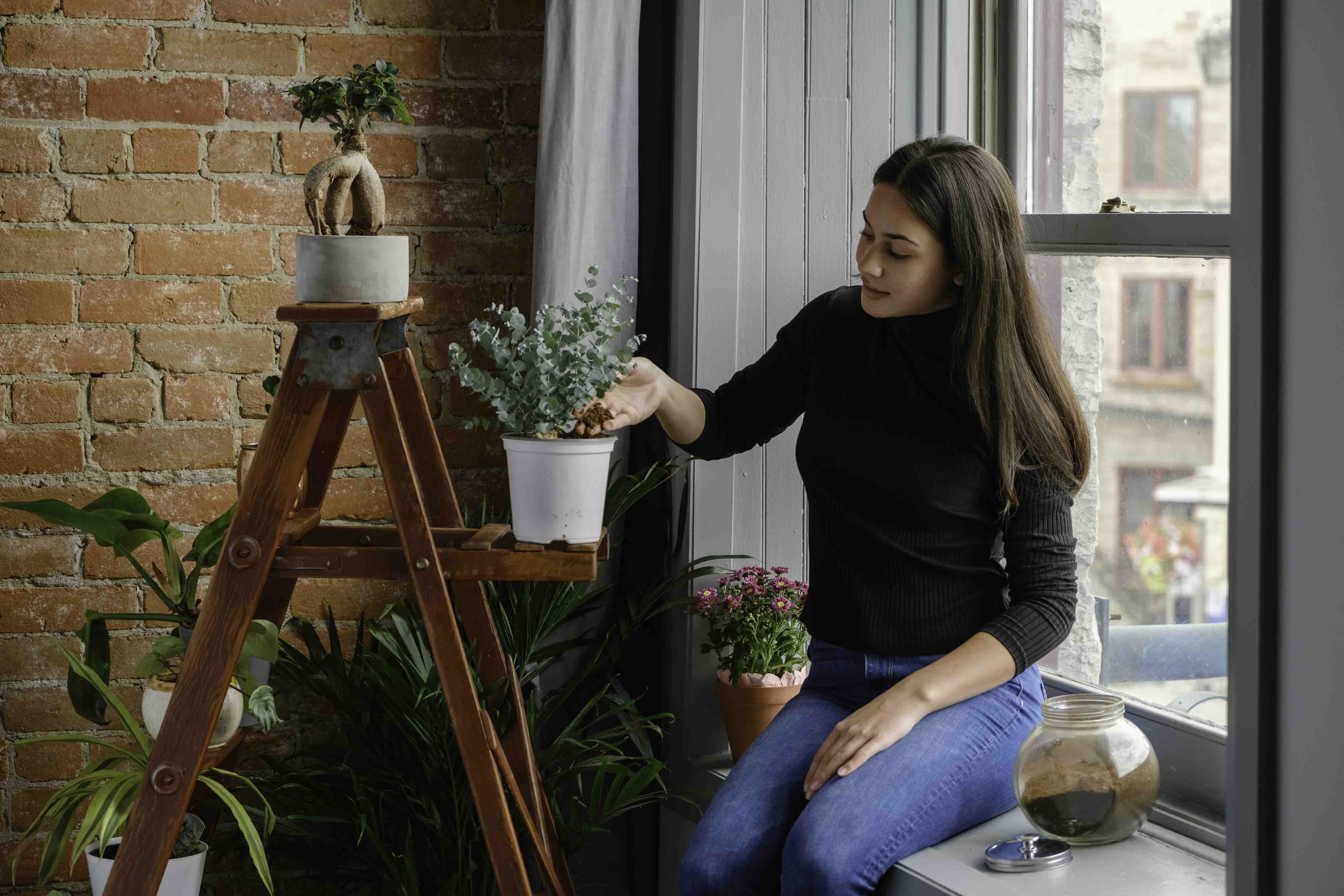 Person putting Foodilizer into a potted plant